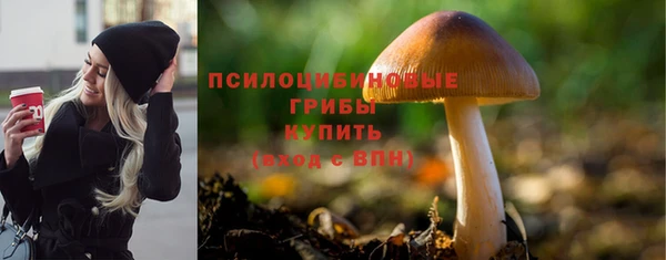 кокс Абаза