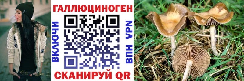 Галлюциногенные грибы прущие грибы  дарк нет клад  Ладушкин 