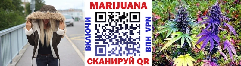 где купить наркоту  Ладушкин  Бошки марихуана OG Kush 